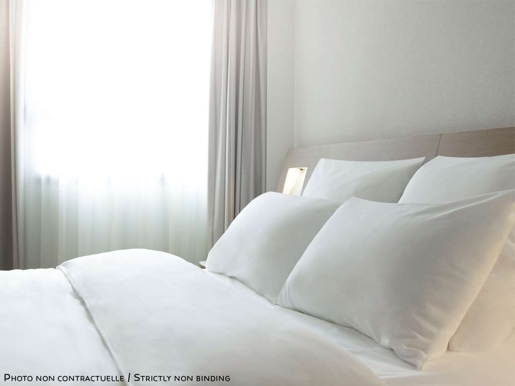 Ibis 3*